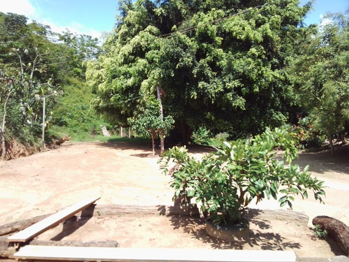 Imagen 10 de 10 de Finca En Sector Las Palmas Cod. Indif-067