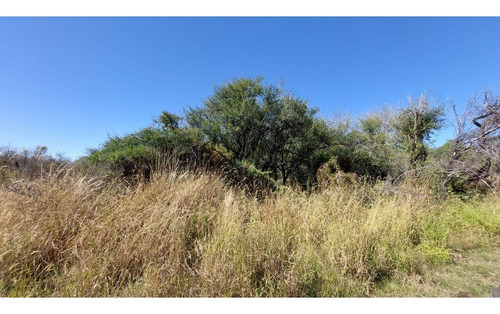 Imagen 5 de 5 de Fracción De 4.1 Ha En Falda Del Carmen. Lote N° 7