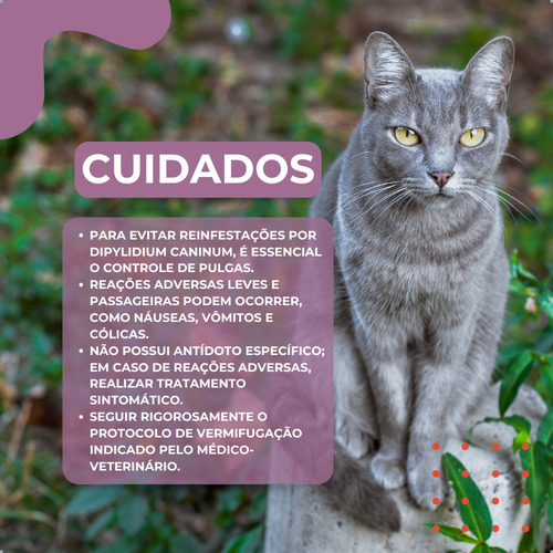 Kit 2 Chemital Vermífugo Gatos 4 Comprimidos Chemitec | Lojão Do Ferro