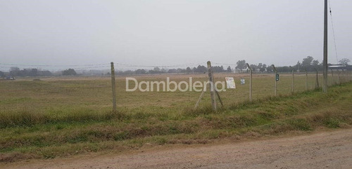 Imagen 3 de 13 de Terreno Fracción En Venta O Permuta Sobre Colectora Norte Acceso Oeste - Luján