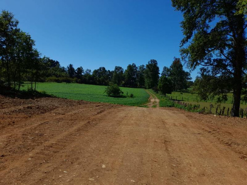 Se Vende Hermoso Campo En La Unión