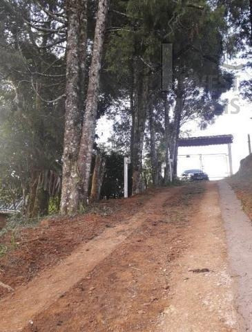 Imagem 5 de 13 de Cód 5113 - Chácara Em Ibiúna Sp Com Lago Com Peixes - 5113