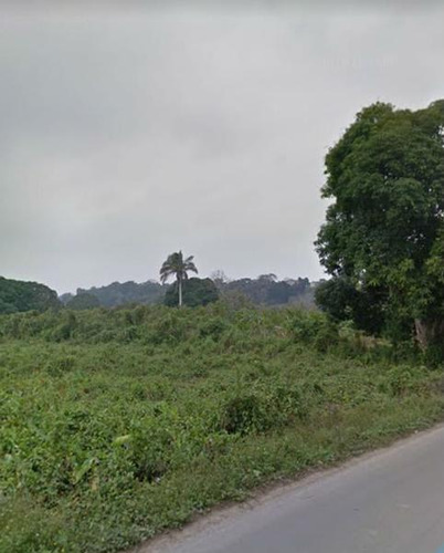 Venta Terreno 5,633 M² Sobre Carretera Juana Moza Tuxpan Veracruz
