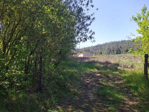 Hermosa Parcela En Venta En Gorbea