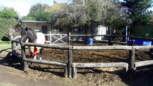 Imagen 13 de 19 de Encantadora Quinta En Venta - Fácil Acceso Desde Camino General Belgrano