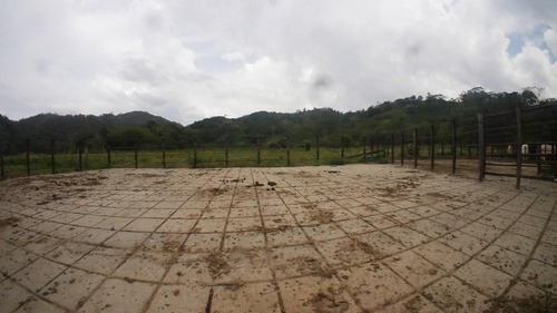 Imagen 27 de 30 de Finca En Venta San Felipe 1500 Ha, #23-14481