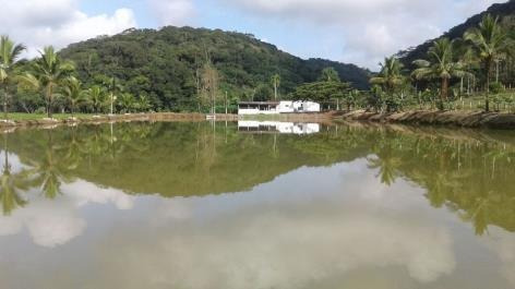 Imagem 12 de 18 de Linda Fazenda - Municipio De Sete Barras - Ven23