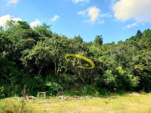 Imagem 6 de 22 de Área À Venda, 20000 M² Por R$ 8.000.000,00 - Chácara Roselândia - Cotia/sp - Ar0205