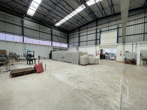 Imagem 2 de 15 de Excelente Galpão - 1400m² - Ramo Alimentício - Vila Lucia - São Paulo - 6726