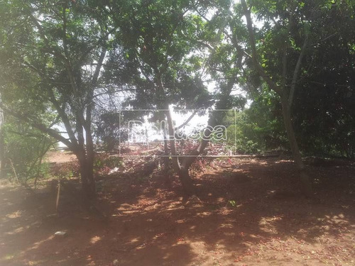 Imagem 9 de 15 de Chácara À Venda Em Macuco - Ch001594