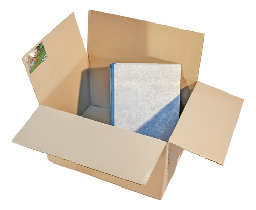 Cajas Mudanza Medianas Reforzadas Cartón 50x40x30 Pack De 10