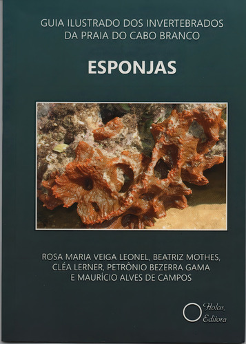 Esponjas Guia Ilustrado Dos Invertebrados Praia Cabo Branco