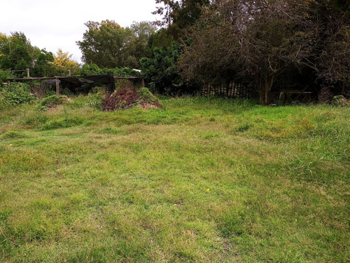 Imagen 10 de 10 de Lote En Venta En Villa Elisa Sobre 419 (arana