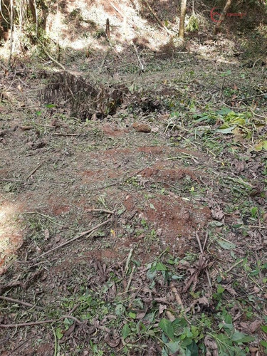 Imagem 2 de 26 de Terrenos Em Loteamento Fechado À Venda Em Mairiporã/sp - Compre O Seu Terrenos Em Loteamento Fechado Aqui! - 1452335
