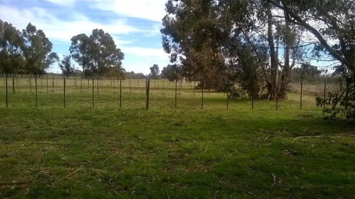 Terreno Venta - 10x60mts - 600mts2 Totales- Copetonas