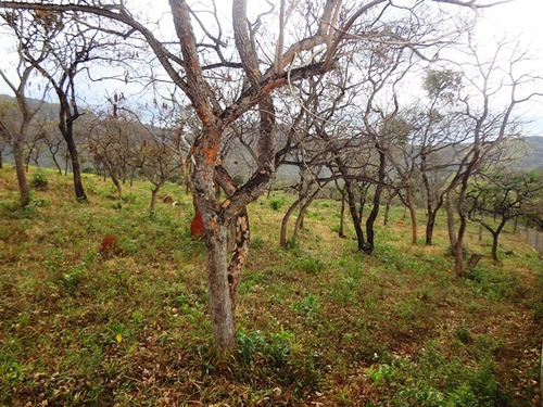Terreno / Área Para Comprar No Casa Branca Em Brumadinho/mg - 1815