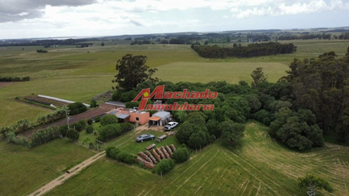 Imagen 19 de 29 de Chacra En Venta