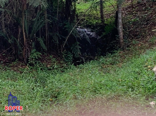 Imagem 26 de 30 de Maravilhoso Sitio Com 72.000 M² Com Lago E Nascente À Venda Em São Lourenço Da Serra - St00022 - 69516737
