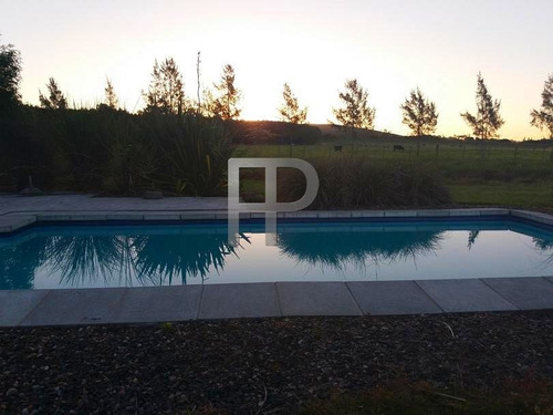 Imagen 2 de 18 de Chacra En Venta San Carlos 3 Dormitorios, 5 Hectáreas