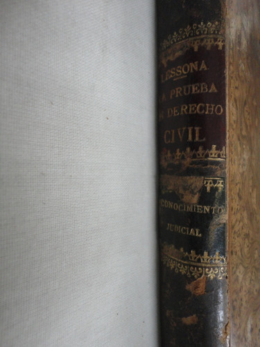 Teoria General De La Prueba Derecho Civil Lessona 1905
