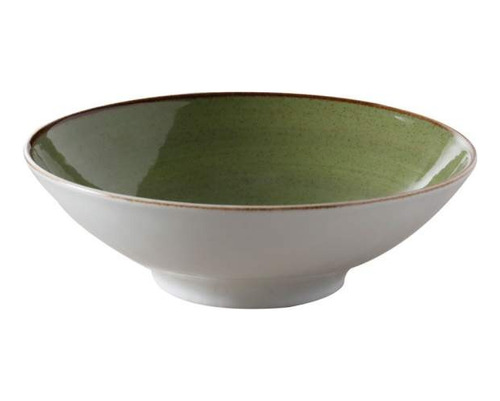 Bowl De Porcelana 1000cc Artisan Verde