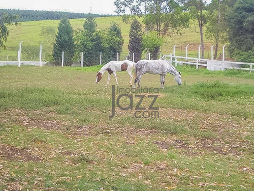 Imagem 12 de 21 de Sítio Na Região De Sorocaba 78.200m² - Si0025