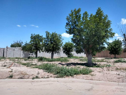 Terreno En Venta Fraccionamiento La Barranca Torreón, Coahuila