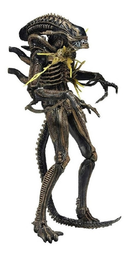 Xenomorph Warrior Battle Damged B Aliens Series 12 Neca