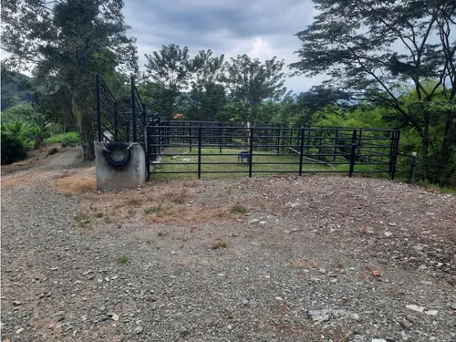 Venta Finca La Tebaida Cultivada En Pasto - 40 Cuadras