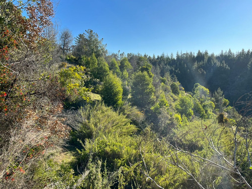 Hermoso Terreno En Loteo Vista Cuarzo , Pichilemu