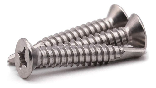 Tornillos Phillips Autoperforantes Acero Inoxidable 100 Piez