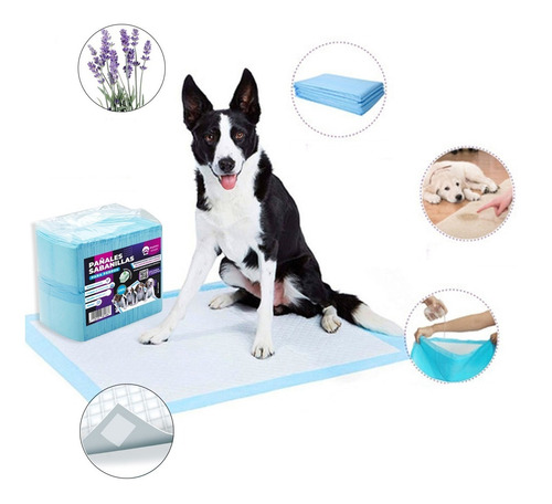 Imagen 1 de 5 de 100 Pañales Sabanillas Mascotas Perros 60x60 Cm Envio Gratis