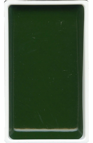 Acuarela Kuretake Gansai Tambi Pastilla X Unidad Color 58 Sap Green Deep