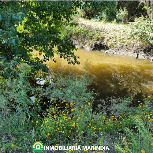 Vendo Chacra En Paraje Del Tigre, Cerca De Soca