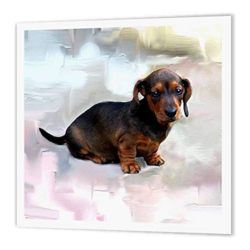 3drose Ht_4157_1 Dachshund En Miniatura Para Transferencia D