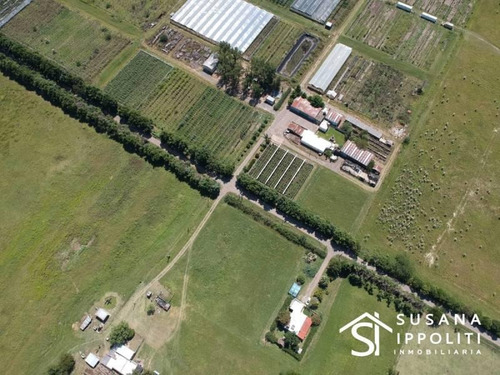 Imagen 4 de 6 de Campo 20,4 Has En Rosario Zona Rural Próxima A Au. Rosario/buenos Aires