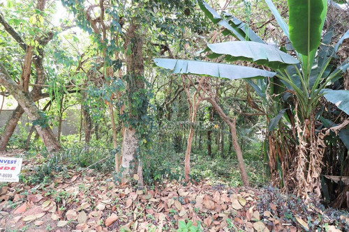 Imagem 12 de 30 de Terreno À Venda, 1187 M² Por R$ 910.000,00 - Palos Verdes - Carapicuíba/sp - T06580