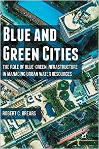 Blue And Green Cities The Role Of Bluegreen Infrastructure I