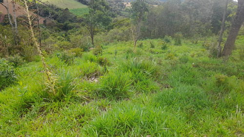 Vende-se Terreno De 26.000 M Com Nascente Dentro Da Propried