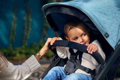 Barra Para Apoio Das Mãos Spring Bumper Bar - Thule