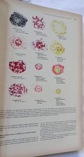 Biologia Celular Y Molecular De Robertis El Ateneo 1992 (Usado)