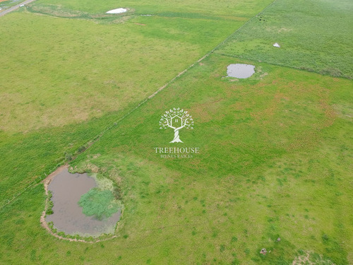 Venta Chacra 5,9 Hectáreas Camino Medellín Y Ruta 104 (ref: Tbr-3183)