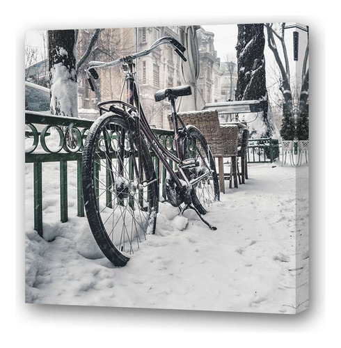 Cuadro 20x20 Cm Bicicleta Transporte Invierno Winter Ice P4