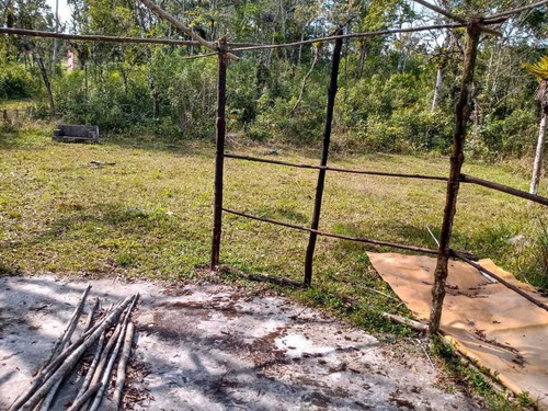 Imagem 7 de 30 de Chácara À Venda, São Paulo, Miracatu, Sp - Sp - Ch0011_yamamo
