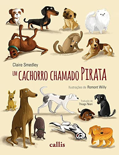 Libro Cachorro Chamado Pirata,um