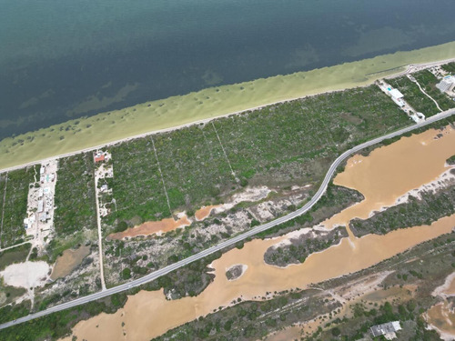 Terreno En Venta, Frente A Playa En San Crisanto, Yucatán