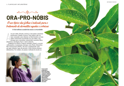Plantas Anti-inflamatórias
