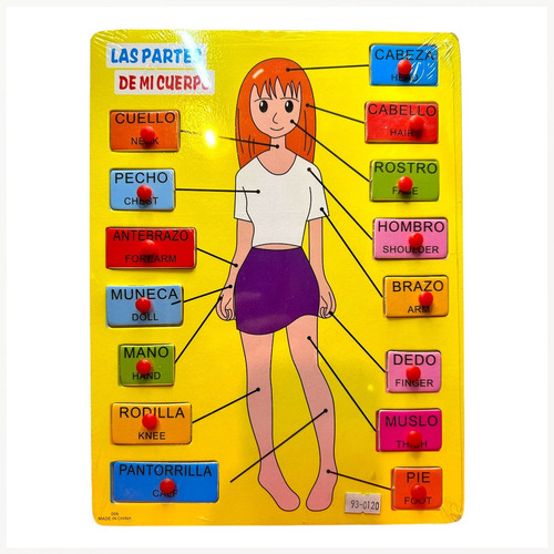 Puzzles Encastres De Madera Cuerpo Humano Phiphi Mujer