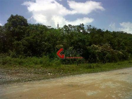 Imagem 3 de 7 de Chácara À Venda, 1800 M² Por R$ 350.000,00 - Riacho Grande - São Bernardo Do Campo/sp - Ch0001