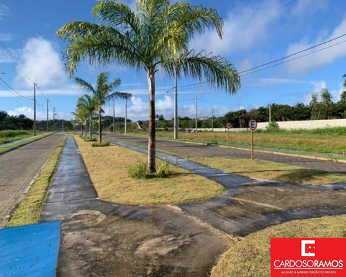 Imagem 8 de 11 de Terreno - Te00193 - 70712870